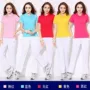Jinguan ngắn tay T-Shirt thể thao phù hợp với mùa xuân và mùa hè nữ nữ polo áo ve áo Jiamusi thể dục nhịp điệu nhóm quần áo áo cầu lông