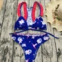 Ruffled Bikini 2018 AliExpress In mới Đồ bơi Bà ren Đồ bơi Châu Âu và Mỹ Bikini gợi cảm - Bikinis áo tắm đẹp 2021