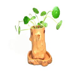 Вазы для цветов Специальные взрыва Исин