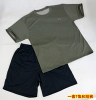 Быстросохнущий комплект для тренировок, футболка с коротким рукавом, физическая подготовка, для бега, короткий рукав