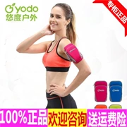 YODO giải trí cánh tay túi chạy cánh tay đặt túi điện thoại di động cánh tay vài mô hình của nam giới quần áo khác phụ kiện YD59000124