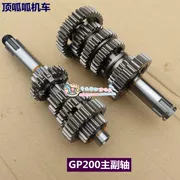 Phụ tùng xe máy Longxin Jinlong LX150-56 (GP200) dẫn đầu 200 răng trục chính và phụ. - Xe máy Gears