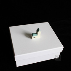 картон 纸盒定制 铜版纸特种纸天地盖式礼品包装盒 礼物盒 ins各种盒型