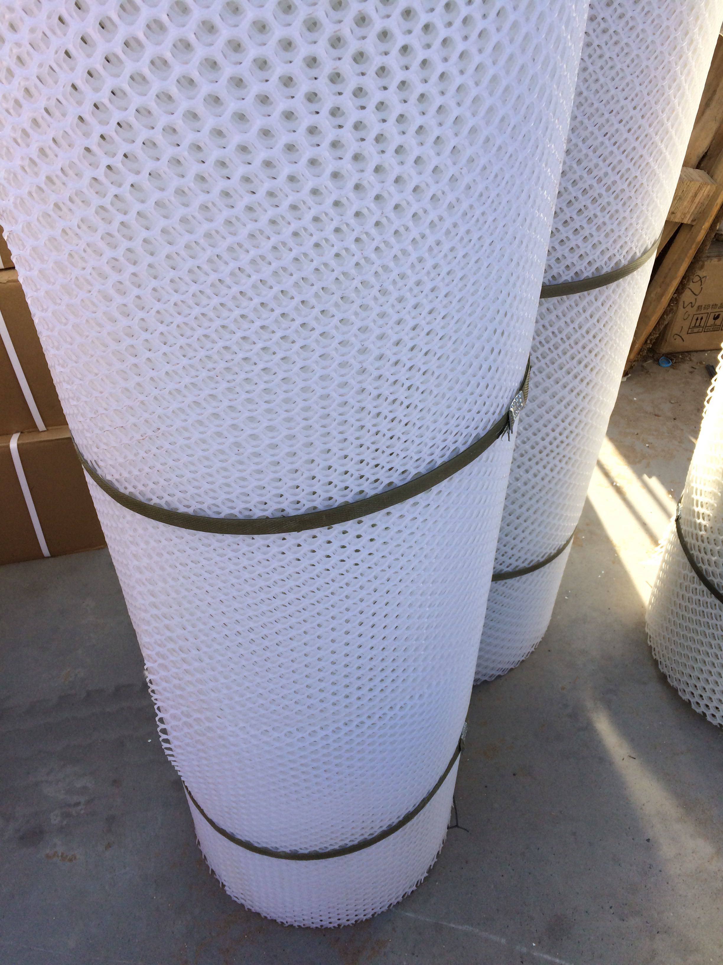 鸡笼网片 养殖塑料网 宠物 笼孵化 鸭鹅 保护养鸭网防护网