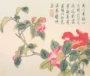 Nổi tiếng cổ thêu nghệ thuật thêu thêu tự làm kit người mới bắt đầu làm thủ công sơn trang trí hoa mẫu đơn nhỏ 30 * 35CM tranh thêu hoa sen