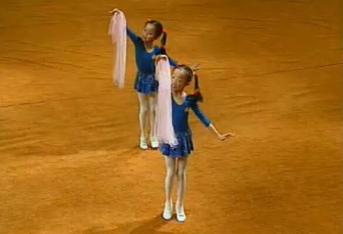 15 -Year -Sold Old Shop 13 Цвета северного танца китайский танце