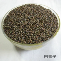 Tian Jingzi Tian Qing Seed Round Cassia 10 kg Vận chuyển thuốc thảo dược Trung Quốc gối gối nhồi thoáng mát gối kê cổ