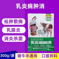 SOW CATTE, овец, звездах, дислостирование заливного порошка. Профилактика заболеваний профилактика заболевания молока молочной железы, отека, отеки, гиперплазия груди