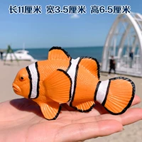 [Симуляция клоуна рыба] 11,5 см в длину