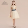 Trẻ em ăn mặc cô gái công chúa váy hoa cô gái đàn piano trang phục hiển thị ăn mặc cô gái chủ váy váy váy trẻ em đẹp