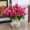 Hoa nhân tạo đặt hoa giả trang trí hoa phòng khách trưng bày hoa cắm hoa lụa hoa vườn hoa nhựa hoa nhân tạo - Hoa nhân tạo / Cây / Trái cây bình hoa giả để phòng khách