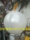 9 -килограммовые белые шарики, которые можно носить на дыре