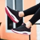 830 Black Rose Red