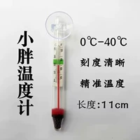 1 пухлый термометр 1 (специальный)