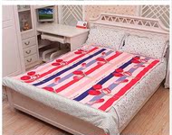 Chăn điện đơn đôi tăng gấp ba lần tăng gấp đôi đôi kiểm soát giường rộng 1,8 m giường nệm điện ký túc xá