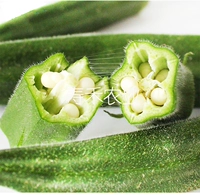 Желтая саженцы баки 20 деревьев