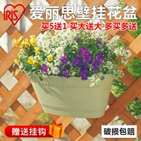 Алиса рельсовая стена -Цветочный горшок с пластиковым цветочным горшка