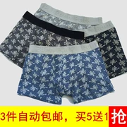 Quần lót nam Boxer Kích thước lớn Tide Thanh niên Quần short vuông Băng lụa lụa Modal Cotton Mid-Eo Quần sợi tre