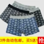 Quần lót nam Boxer Kích thước lớn Tide Thanh niên Quần short vuông Băng lụa lụa Modal Cotton Mid-Eo Quần sợi tre quần sịp cotton nam