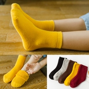 Trẻ em vớ cotton mùa thu và mùa đông 1-3-5-7-9-10 tuổi Trẻ em trai và bé gái cộng với vớ nhung dày