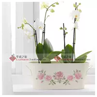 IKEA Rosie Papo Lọ Hoa Màu Xanh Lá Cây Trồng Làm Vườn Mô Phỏng Flower Vase Flower Xử Lý Ellipse Hoa chậu đất