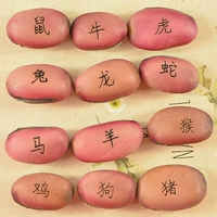 Зодиака-красного боба