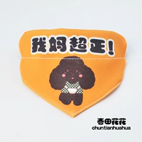 Моя мама очень прав