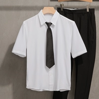 Белая короткая рубашка D6