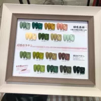 Зеленый цветовой круг, 16 цветов