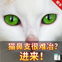 Медицина для лечения носовой ветви кошки поддерживает нос лекарства от холода, герпес, вирусный нос, таблетки для глаз кошки, кошки, капающие глазными капельками