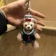 Сейлор одежда в Сиднее, выбирая лицо