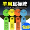 Товары от 紫夜蓝眸