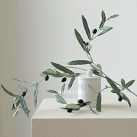 Оливковые ветви 丨 Имитационное растение 丨 4 вилка