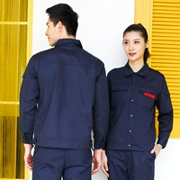 Чистый хлопок с длинным рукавом топ