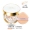 Authentic Korea age20s thích tôn trọng không khí cushion bb cream nước nhẹ tinh chất kem nền dưỡng ẩm che khuyết điểm kem gouache ủy quyền