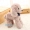 Mô phỏng Chó Teddy Dog Doll Poodle Đồ chơi sang trọng Chó búp bê Búp bê Quà tặng sinh nhật Cô gái - Đồ chơi mềm