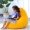 Lazy hairnet cát đỏ nữ mô hình đơn phòng ngủ kiểu Nhật túi trẻ em tatami beanbag đậu đi lang thang Balcony đúp - Ghế sô pha