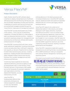 VERSA 100-Flex-VNF SDWAN/SDN/ROUTER/FIRMENTER/URL-приложение/Управление Интернетом