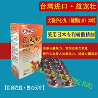 Đài loan nhập khẩu thuốc tim Nhật Bản Coenzyme Q10 pet dog cat cơ tim thiếu máu cục bộ sản phẩm sức khỏe dog tim hypertrophy sữa chó con