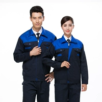 Темно-синий синий воротник