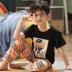 Boy con bộ đồ ngủ bé trai mùa hè ngắn tay quần cotton phần mỏng lớn Tong Chunqiu bông tracksuit phù hợp đồ bơi bé trai Phù hợp với trẻ em