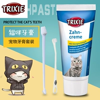 Немецкая кошка Терри использует домашнее животное с зубной щеткой, чтобы удалить неприятный запах дыхания, чтобы удалить зубной зубной и чистой зубной пасты