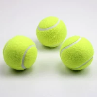 Phục vụ trò chơi cơ sở và trung cấp thú cưng đặc biệt đồ chơi cao hồi phục quần vợt đào tạo thiết bị bóng trẻ em 3 - Quần vợt babolat pure drive lite 270g