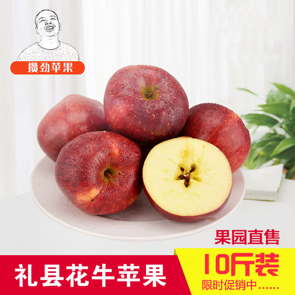 甘肃天水 礼县花牛苹果 10斤装 优惠券折后¥39包邮(¥59-20) 甘肃天水 礼县花牛苹果 10斤装 优惠券折后¥39包邮(¥59-20)