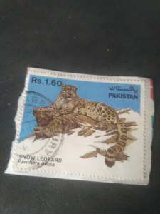 Tem nước ngoài pakistan tem động vật tem sưu tập tem kỷ niệm độ trung thực tem thư ngày xưa