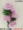 Mô phỏng hoa mẫu đơn 5 đầu 8 phòng khách sàn trang trí hoa cưới màu hoa lớn hoa mẫu đơn - Hoa nhân tạo / Cây / Trái cây