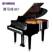 Yamaha Nhật Bản nhập khẩu grand piano cho người lớn mới bắt đầu sử dụng nhà chơi đàn piano chuyên nghiệp Yamaha GC1 - dương cầm