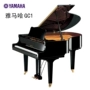 Yamaha Nhật Bản nhập khẩu grand piano cho người lớn mới bắt đầu sử dụng nhà chơi đàn piano chuyên nghiệp Yamaha GC1 - dương cầm đàn piano điện giá rẻ