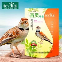Непослушная детская пища Belle Bird Feed Four Plear White Heng Bird Bird Bird