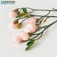 Розовый (бродяга магнолия)